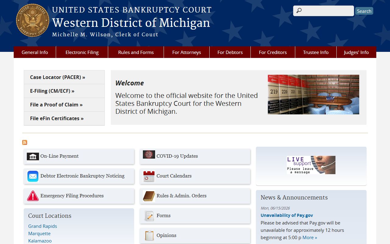 Ionia County probate records and federal bankruptcy estate context